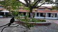Posada Dona Barbara - Rundreise Venezuela – Natur und Abenteuer pur
