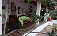 Posada Dona Barbara - Rundreise Venezuela – Natur und Abenteuer pur