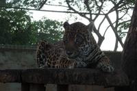 Posada Dona Barbara - Rundreise Venezuela – Natur und Abenteuer pur
