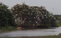 Posada Dona Barbara - Rundreise Venezuela – Natur und Abenteuer pur