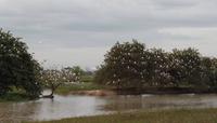Posada Dona Barbara - Rundreise Venezuela – Natur und Abenteuer pur