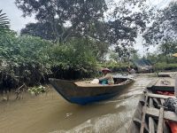 ...weiter mit dem Ruderboot durchs Mekong Delta (3)