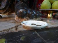 Entscheidung über das Schicksal treffen die Münzen