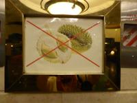 Stinkfrucht nicht erlaubt