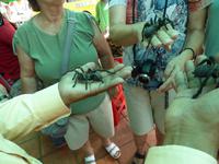 andere Länder andere Sitten