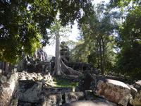 Dschungeltempel Banteay Kdei