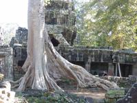 Dschungeltempel Banteay Kdei