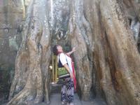 Dschungeltempel Banteay Kdei