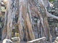 Dschungeltempel Banteay Kdei
