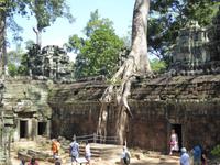Dschungeltempel Banteay Kdei