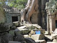Dschungeltempel Banteay Kdei
