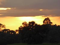 Sonnenuntergang am Reisfeld