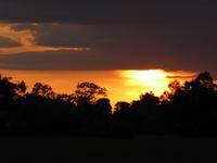 Sonnenuntergang am Reisfeld