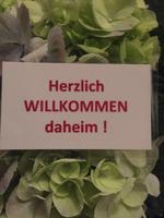 und dann auf ein Neues!!!!!