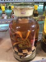 Mekong zum Genießen