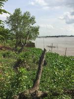 Mekong Flusslandschaften