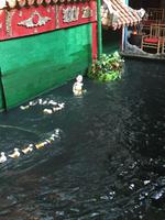 Saigon Wasserpuppentheater