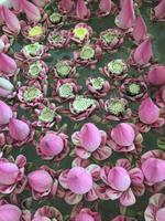 Siem Reap Herzlich Willkommen