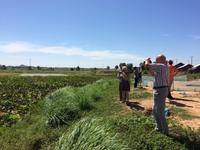 Fahrt nach Siem Real