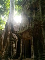 Ta Phrom