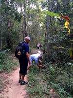 Ta Chrom nicht der Dschungel Camp