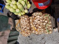 04.11_Rast auf dem Weg nach Mai Chau.