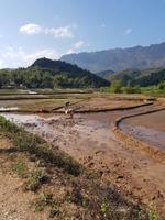 04.26_Mai Chau Dorfspaziergang