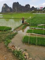 05.05_ auf dem Weg nach Ninh Binh