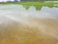 05.07_ auf dem Weg nach Ninh Binh