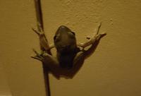 05.26_Ninh Binh Emeralda Resort