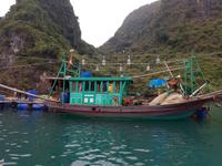 06.22_Halong Bucht; Ausflug Van Cua Fischerdorf