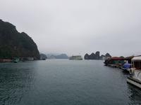 06.24_Halong Bucht; Ausflug Van Cua Fischerdorf
