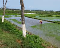 08.50_Hoi An; Radtour.