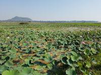 16.04_unterwegs nach Siem Reap