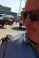 16.08_unterwegs nach Siem Reap; Schlangenmarkt