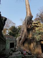 18.01_Dschungeltempel Ta Prohm (24)