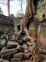 18.01_Dschungeltempel Ta Prohm (26)