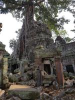 18.01_Dschungeltempel Ta Prohm (31)