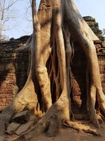 18.01_Dschungeltempel Ta Prohm (37)