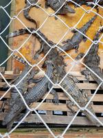 19.01_Dorfbesuch Porbonteay Chey (4)