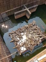 19.01_Dorfbesuch Porbonteay Chey (5)