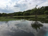 Idylle vom Ruderboot aus