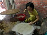 das Reispapier fuer Fruehlingsrollen