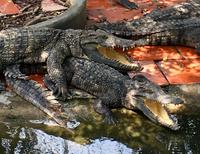 das ist doch zum Lachen