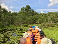 hinein in den Mangrovenwald