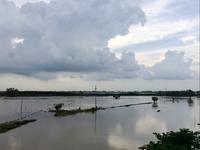 Naechste Woche sind das Reisfelder