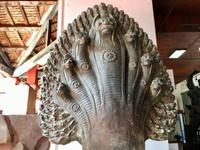 Nagah die vielkoepfige Schlange