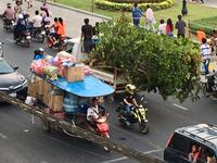 uiiii, das sind aber zwei grosse Ladungen