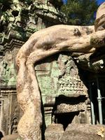 Ta Prohm eine Filmkulisse