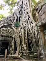 Ein Netz wurde ausgebreitet